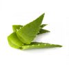 Extrato glicólico aloe vera (babosa)
