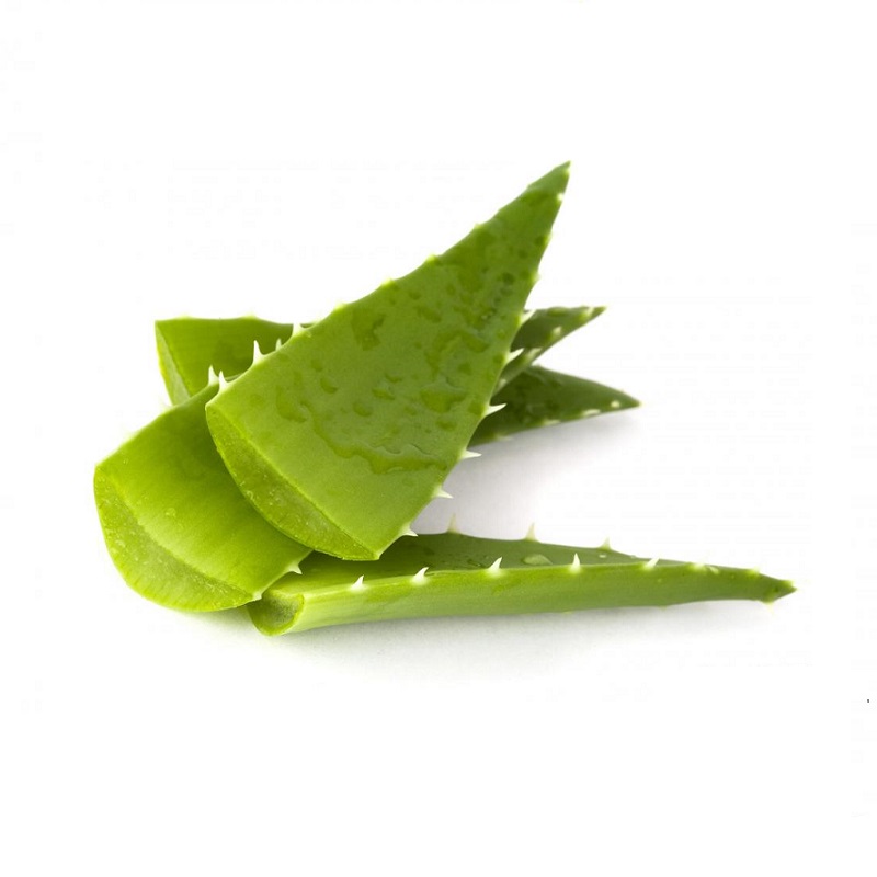 Extrato glicólico aloe vera (babosa) Extrato glicólico aloe vera (babosa)