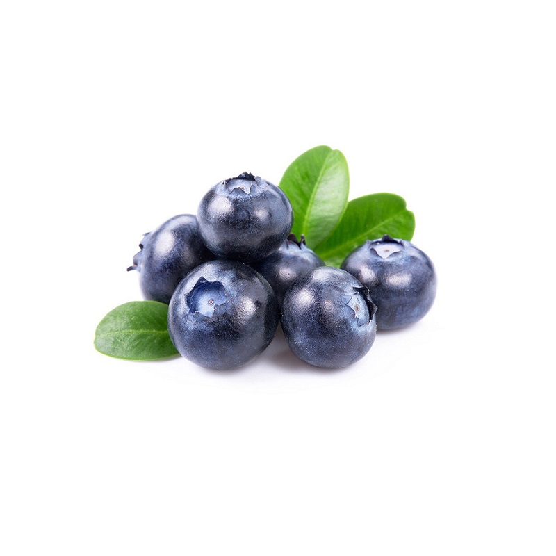 Extrato natural blueberry Extrato natural blueberry