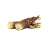 Extrato glicólico broto de bambu