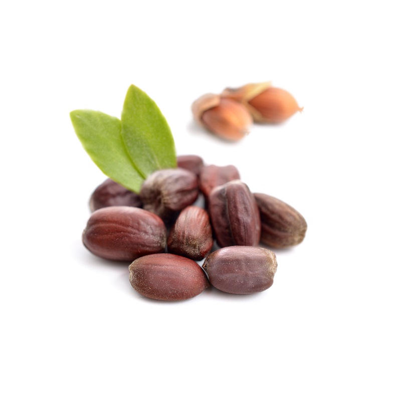 Óleo jojoba prensado a frio Óleo jojoba prensado a frio