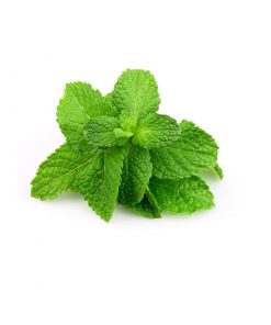 Óleo essencial menta piperita