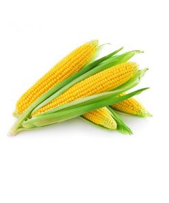 Óleo milho refinado