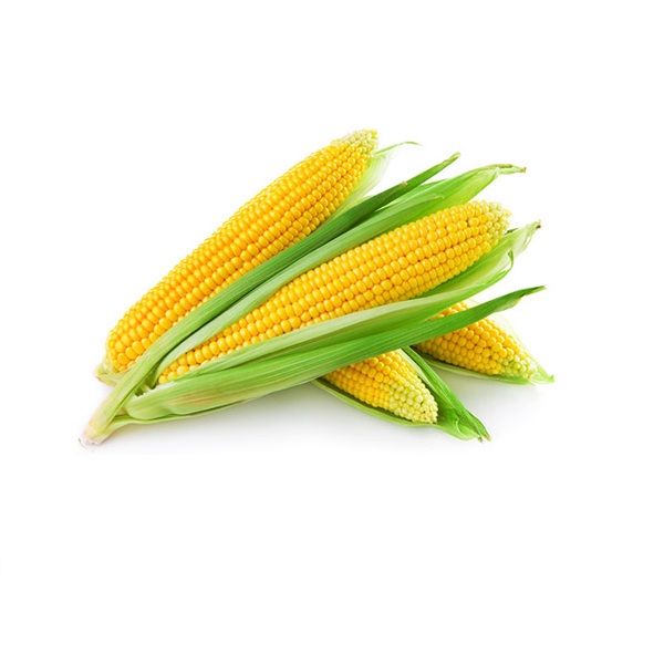 Óleo milho refinado Óleo milho refinado