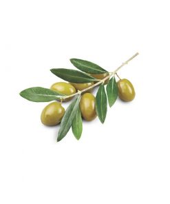 Óleo oliva extra virgem