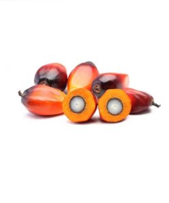 Óleo palmiste prensado a frio