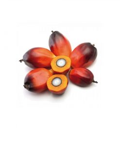 Óleo palmiste refinado