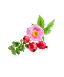 Óleo rosa mosqueta prensado a frio