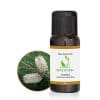 Óleo Essencial Melaleuca Broto da Terra